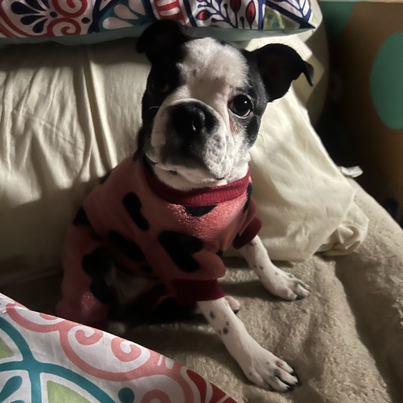 Meet your Posher, Sharlene Campbell. 💕❤️💎🎉😊🎁❄️🥰 - Picture 10 of 12